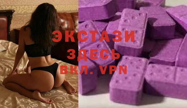 гидра Няндома