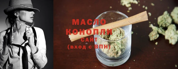 гидра Няндома