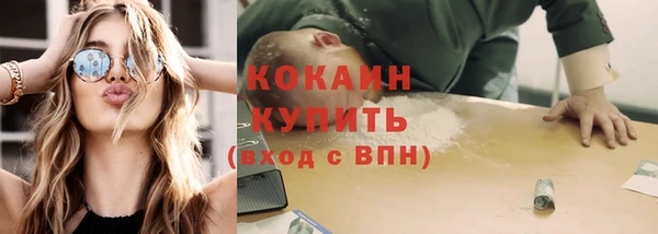 гидра Няндома