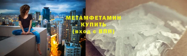 гидра Няндома