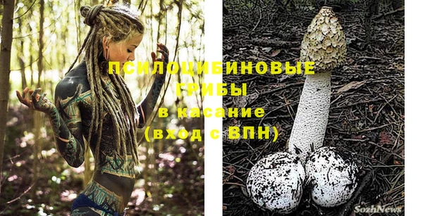 гидра Няндома