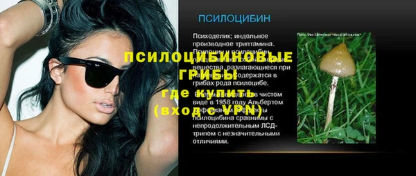 гидра Няндома
