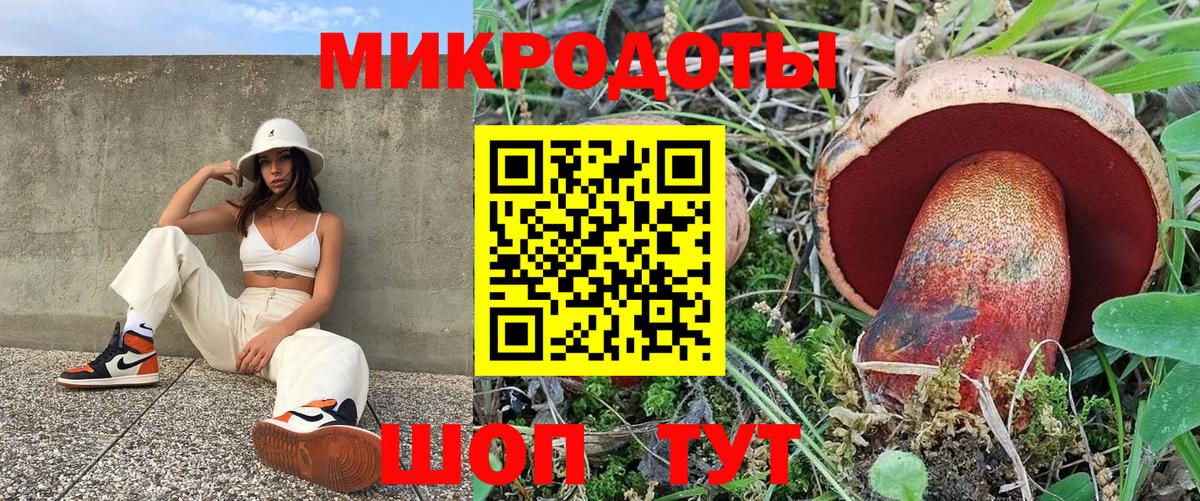 Галлюциногенные грибы GOLDEN TEACHER Тосно