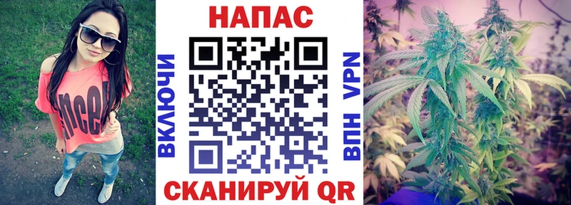 Конопля SATIVA & INDICA  купить   Тосно 