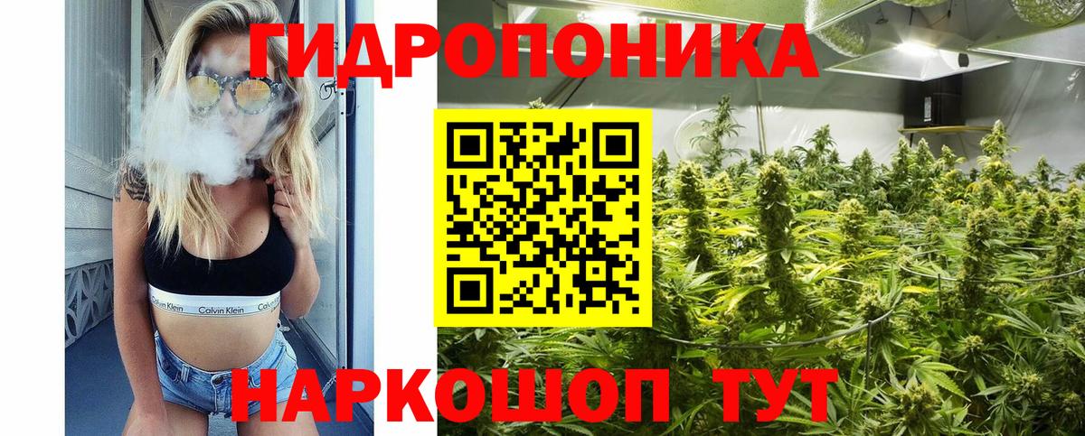 Каннабис сатива Тосно